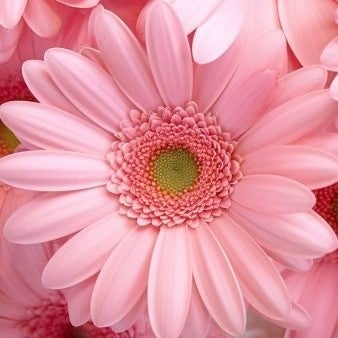 値上げ前に欲しかったティファニーの物の画像