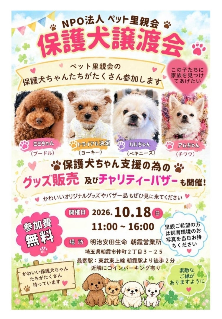 モト冬樹 ネコがダメな妻と愛猫の画像
