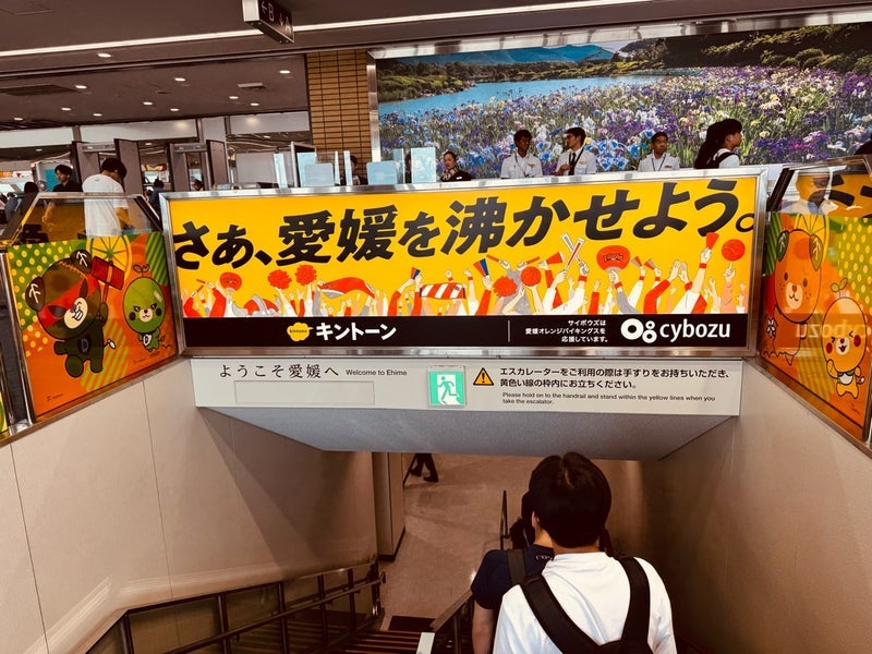 大量に買い込んだ息子達の大好物の画像