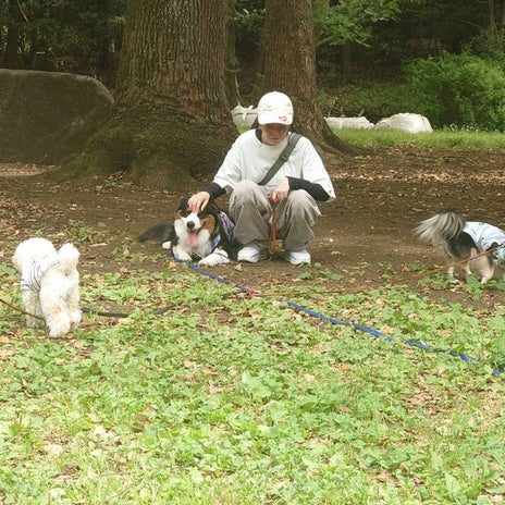 高橋英樹 嬉しい愛犬たちとの散歩の画像
