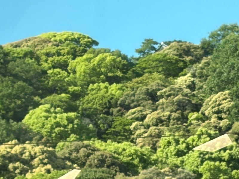 桃の母 宿で鳴らされた歓迎の銅鑼の画像