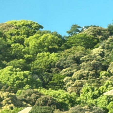 桃の母 宿で鳴らされた歓迎の銅鑼の画像
