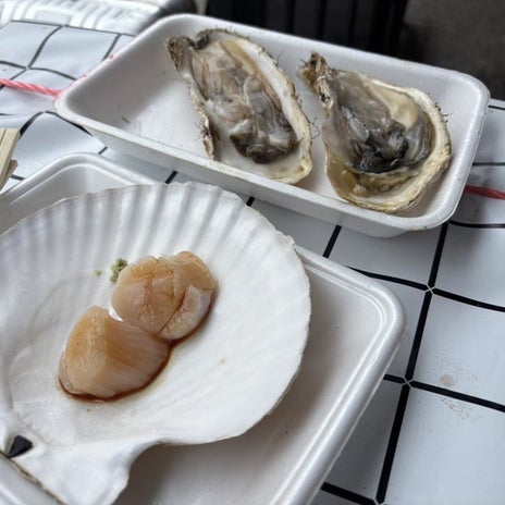 地震と管制トラブルをかいくぐった旅の画像