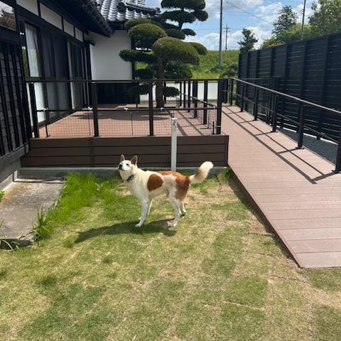 坂上忍 GODIVAとコラボした品