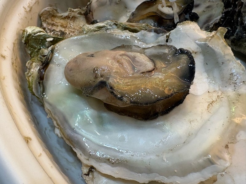 レンチンで食べられる殻付きの牡蠣の画像