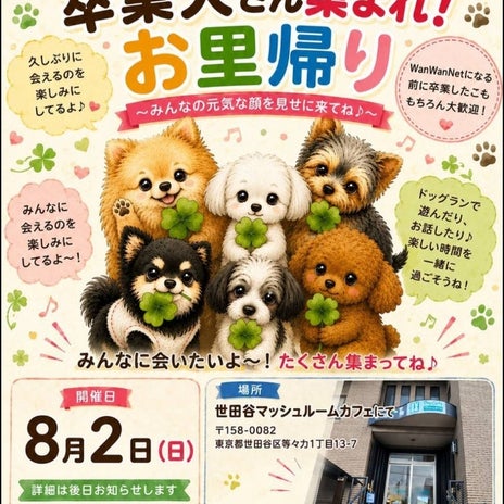 モト冬樹 保護犬のお里帰り会の画像