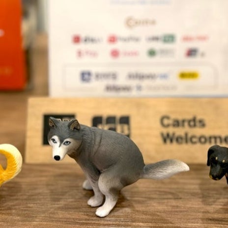 甲状腺が悪くずっと飲み続ける薬の画像