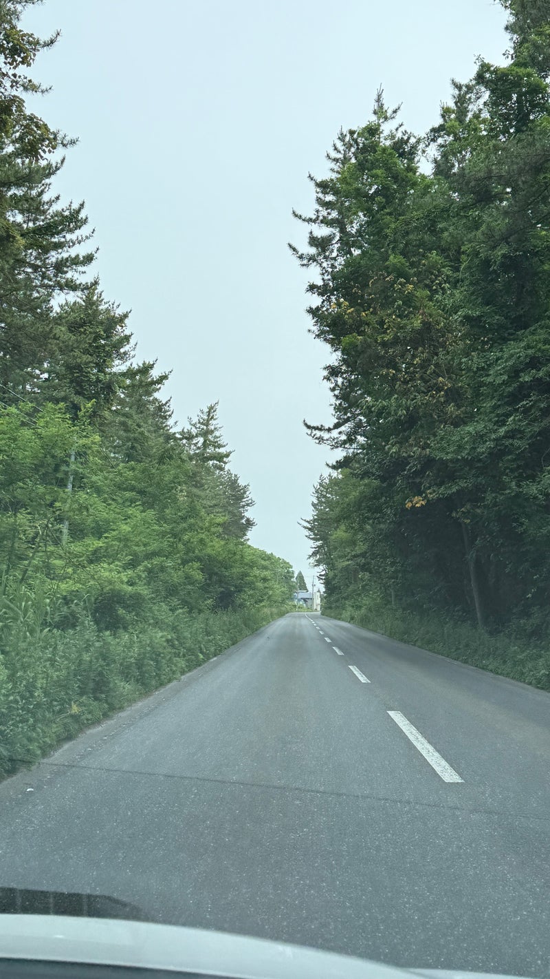 道幅が広く平坦で最高の林道の画像