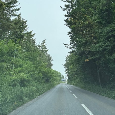 道幅が広く平坦で最高の林道の画像