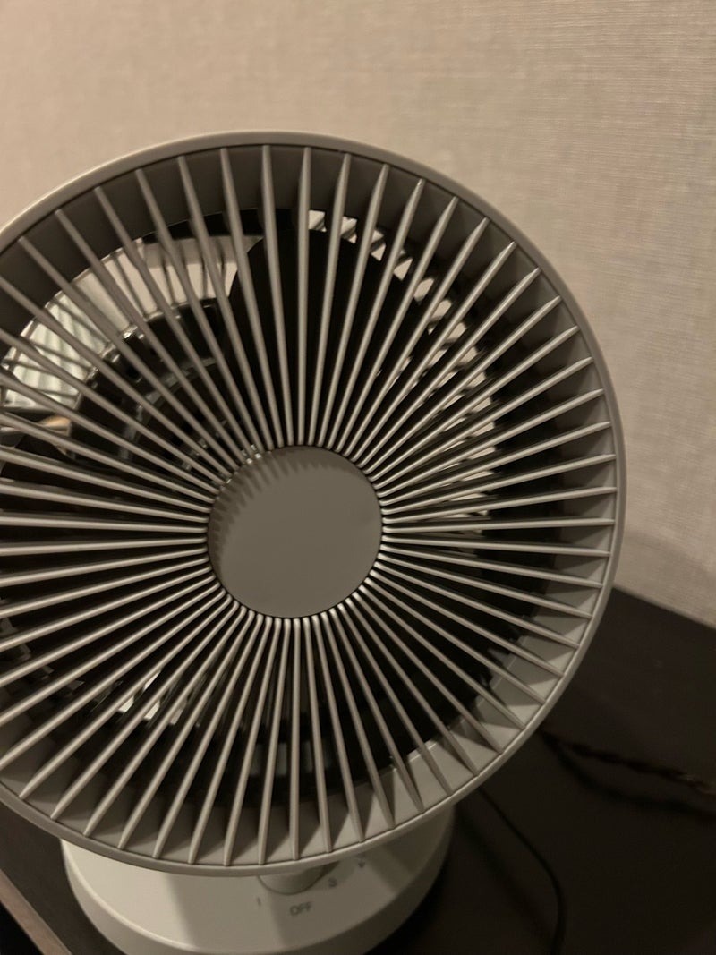 扇風機の代わりに導入した物の画像