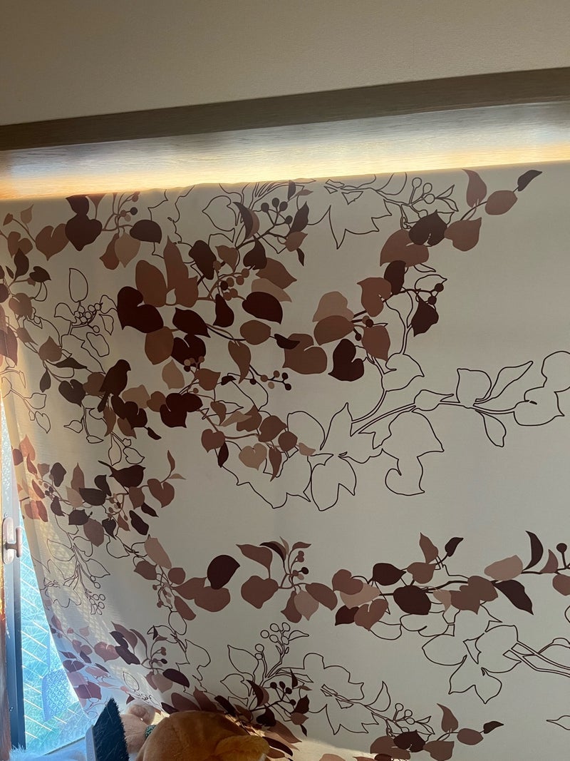 買って付け替えた病院っぽいカーテンの画像