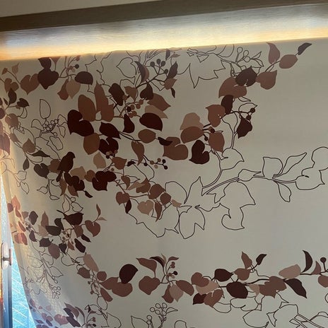 買って付け替えた病院っぽいカーテンの画像