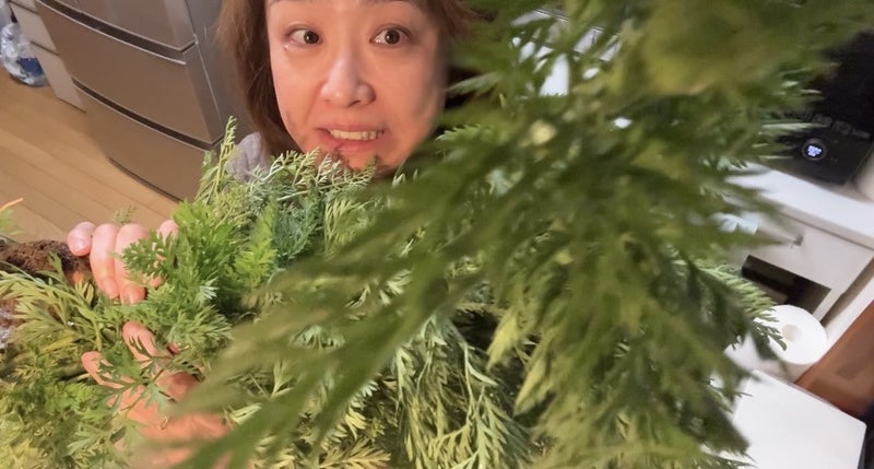 妹と試食が止まらない新鮮な筍の画像