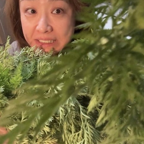 妹と試食が止まらない新鮮な筍の画像