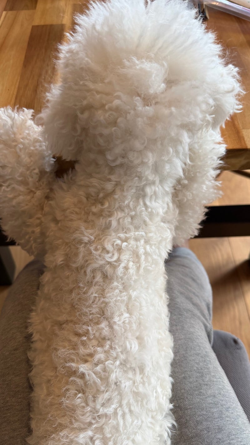 施設に引き留められた義母の今後の画像