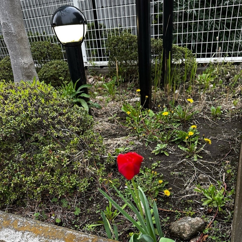 橋本じゅん 長く背負った役との別れの画像