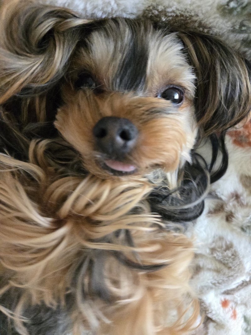 まだ起きる気配がない朝の様子の画像