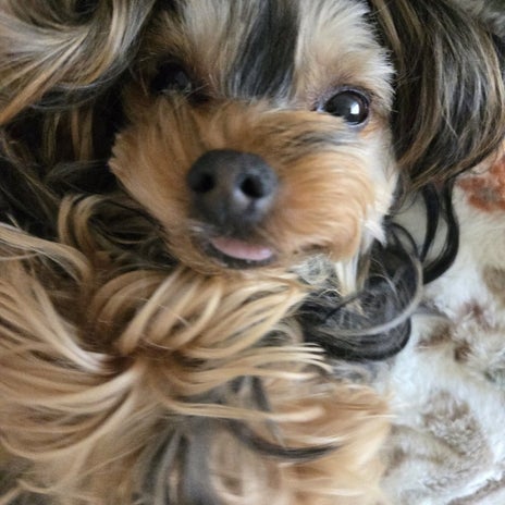 まだ起きる気配がない朝の様子の画像