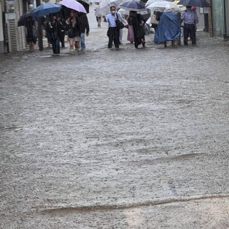 假屋崎省吾 自宅の滝のような暴風雨の画像