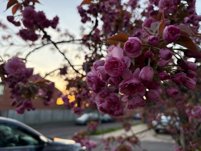 長男からの連絡でホッとした理由の画像