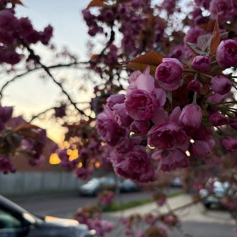 長男からの連絡でホッとした理由の画像