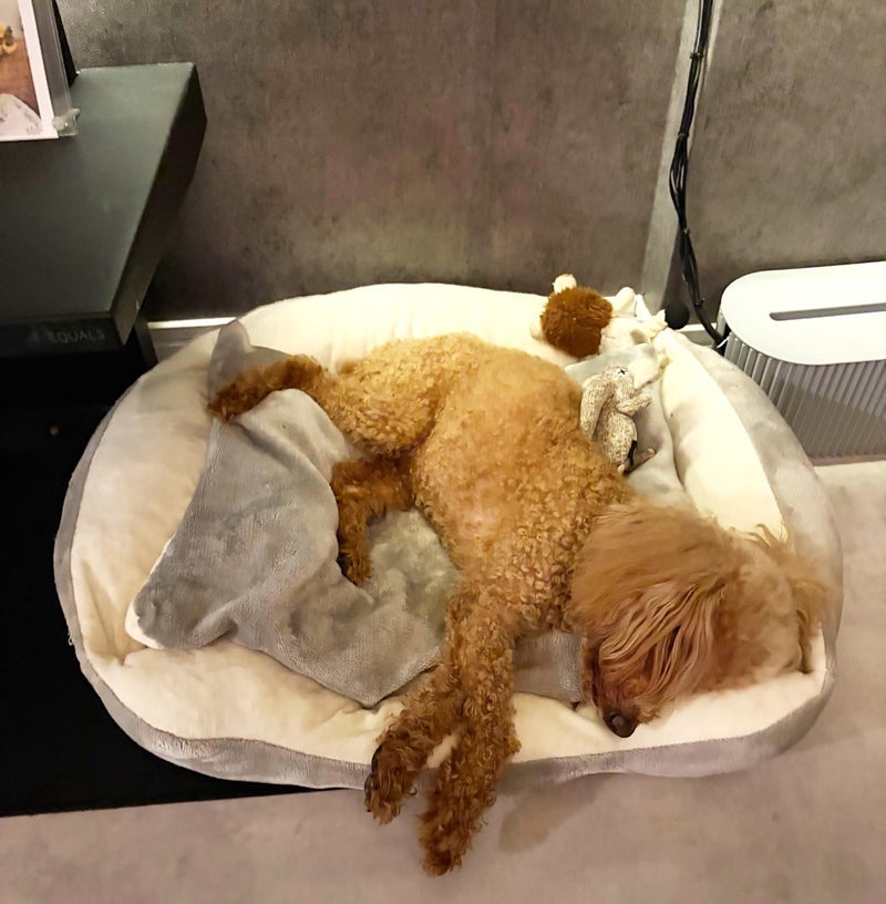 ヒデ 禁酒5日目の意外な体の変化の画像