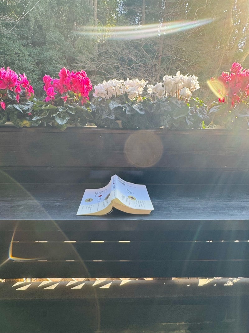 だいた 食後に足湯で読書の時間の画像