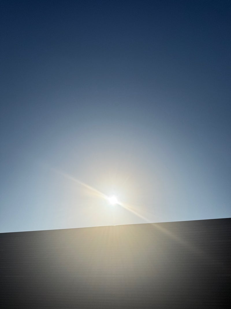 田中健 妻が娘の部屋で手作り花束発見の画像