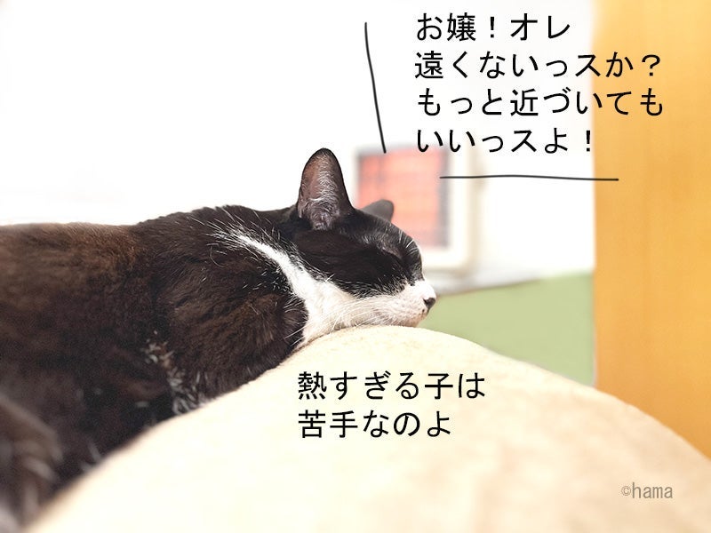 トピックス画像