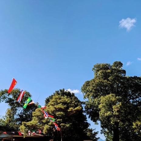 平日開催の運動会で見た長男の成長の画像