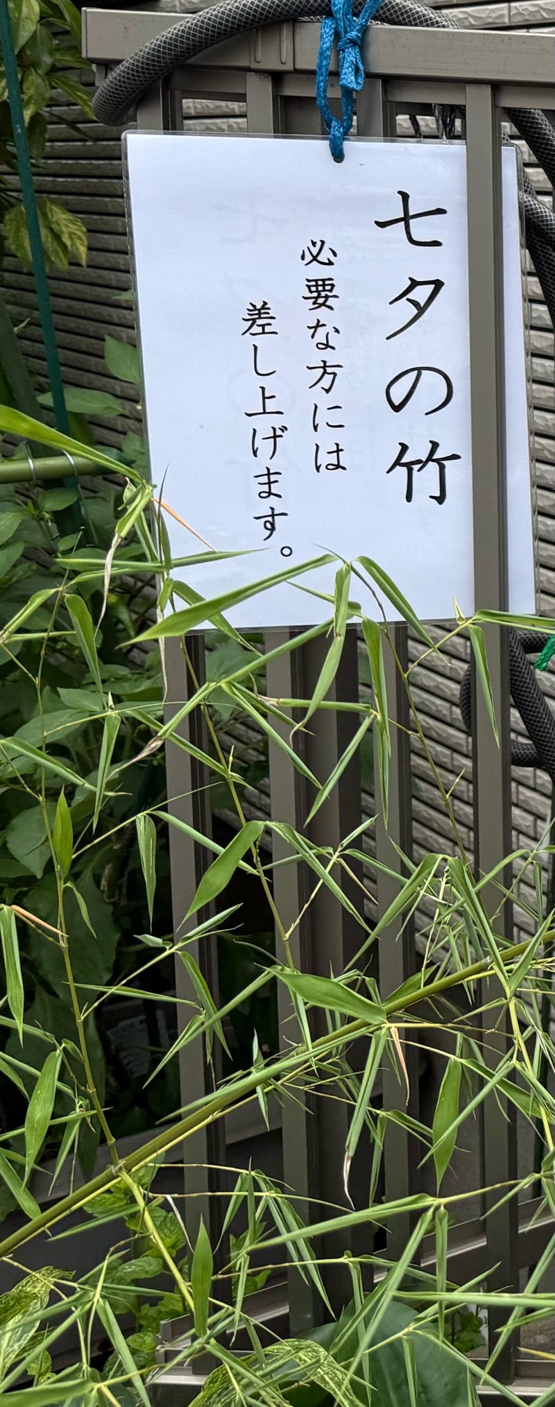 個人のお宅の前にあった七夕の竹の画像