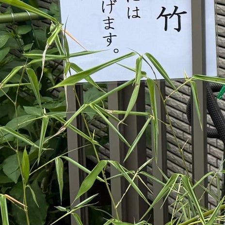 個人のお宅の前にあった七夕の竹の画像