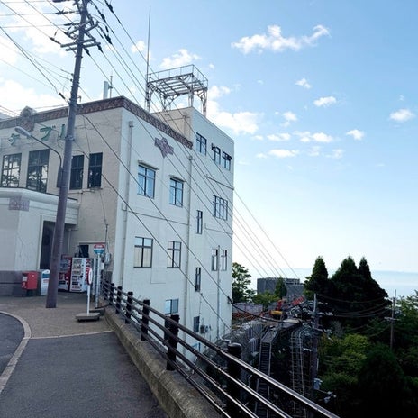 愛之助 マイブームになった朝活の画像