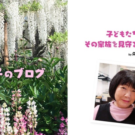 桃の母 世界遺産フマユーン廟と石塔の画像