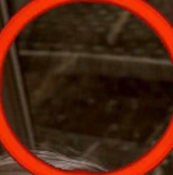 ヒデ 写真に写っていた亡き愛犬の顔の画像