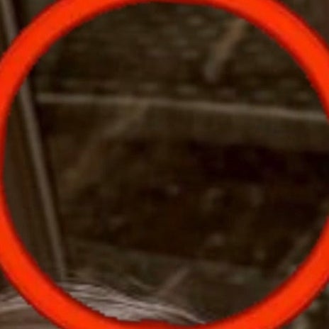 ヒデ 写真に写っていた亡き愛犬の顔の画像