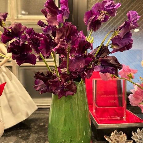 堀ちえみ 高貴な色のスイートピーの画像