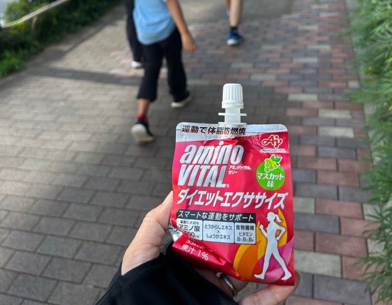 息子が限界になった姉とのウォーキングの画像