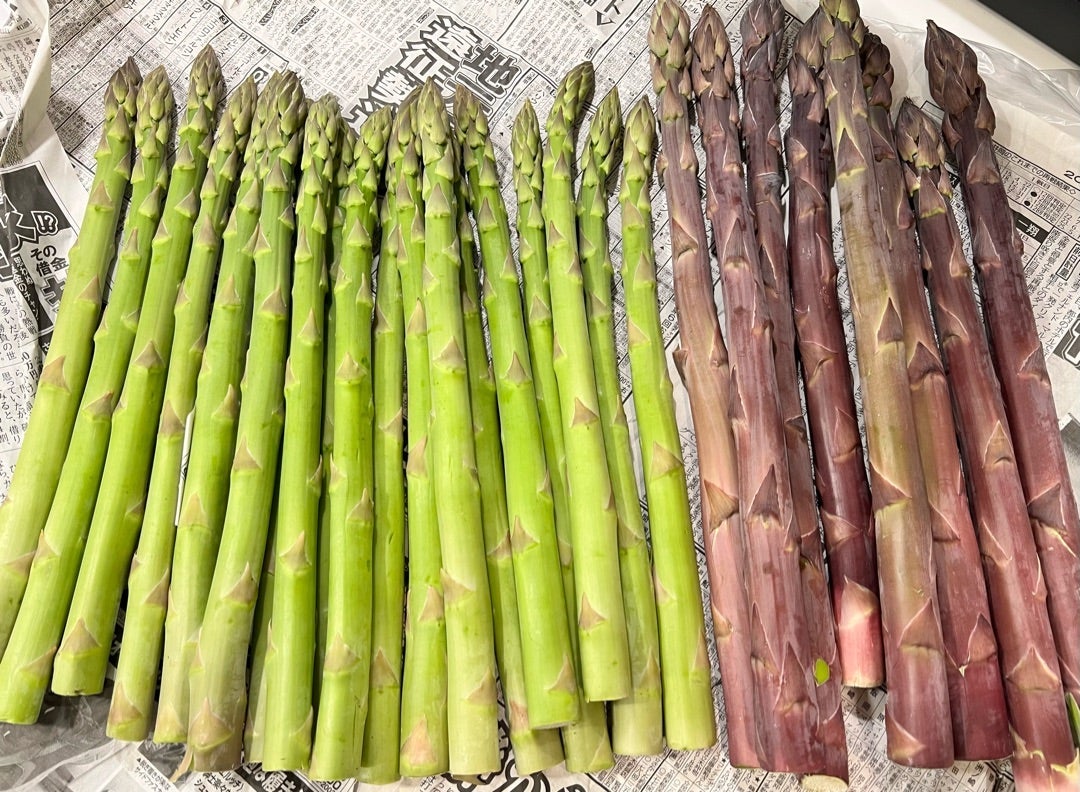薬丸裕英 知人から新鮮な頂き物
