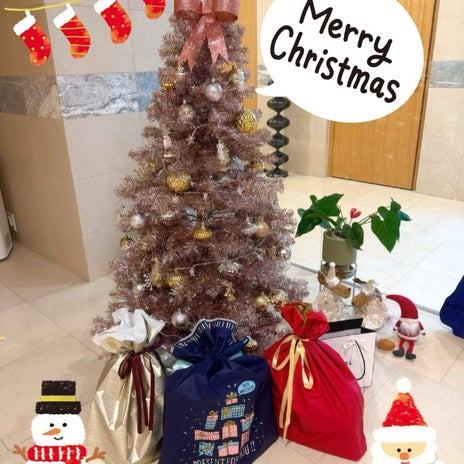 小川菜摘 家で過ごすクリスマスの画像