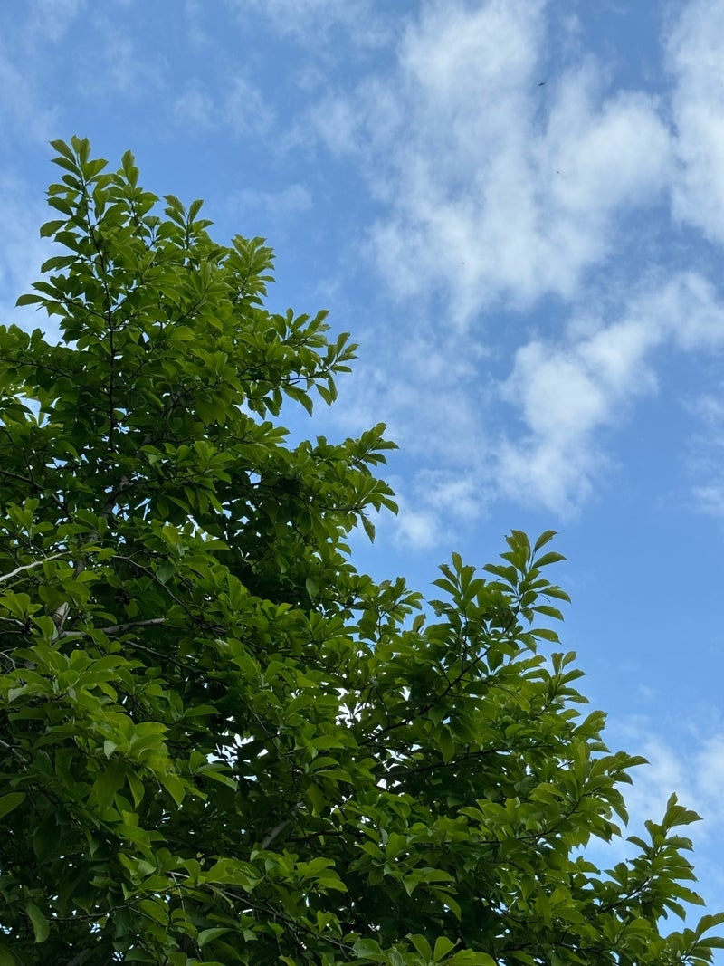 だいた 気になる年齢になり始めた事の画像