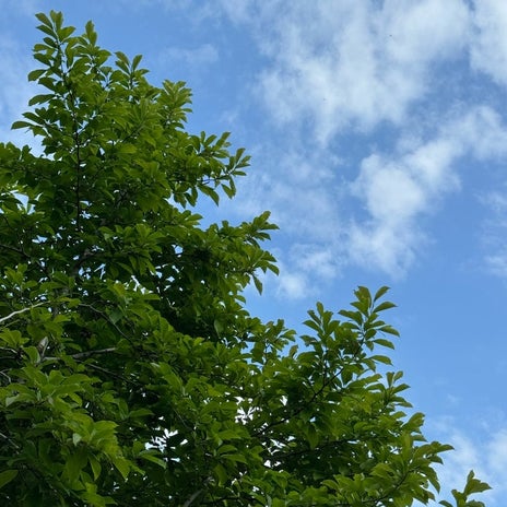 だいた 気になる年齢になり始めた事の画像