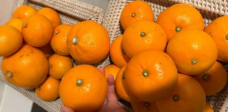 大量に届いた訳ありでもないせとかの画像