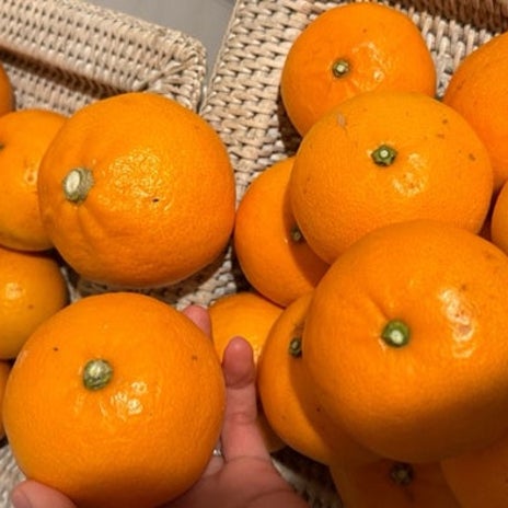 大量に届いた訳ありでもないせとかの画像