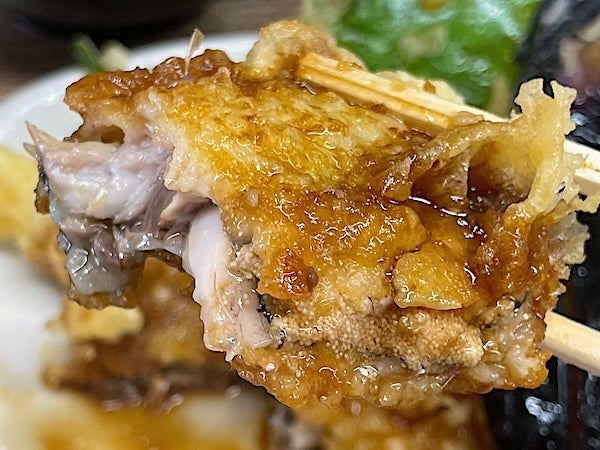 凄いボリュームの丼とイワシ天の画像