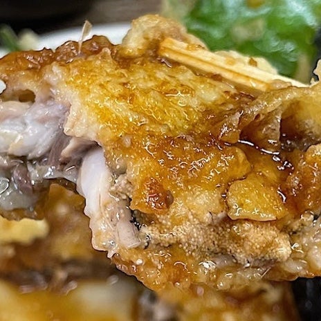 凄いボリュームの丼とイワシ天の画像