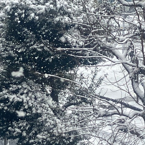 ほどほどのお給料がもらえる仕事の画像