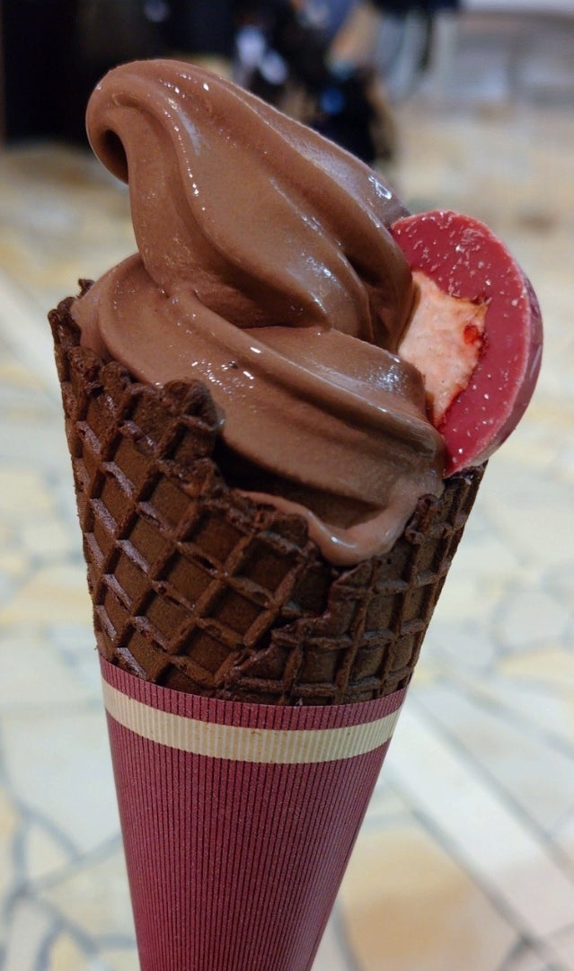 2日続けて行った博覧会の大行列の画像