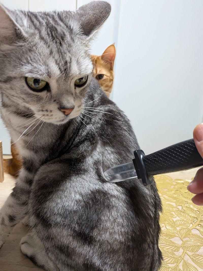 いじめ相談で親に言われた一言の画像