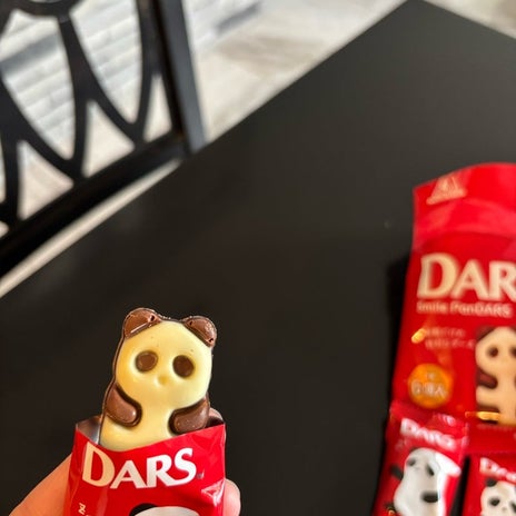 リピ決定の可愛すぎるパンダチョコの画像